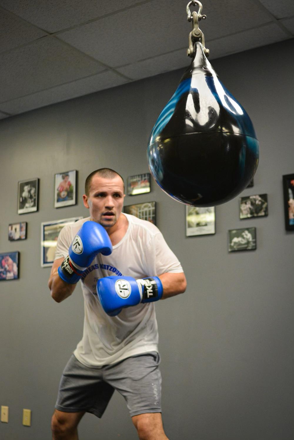 Premium Training Gloves