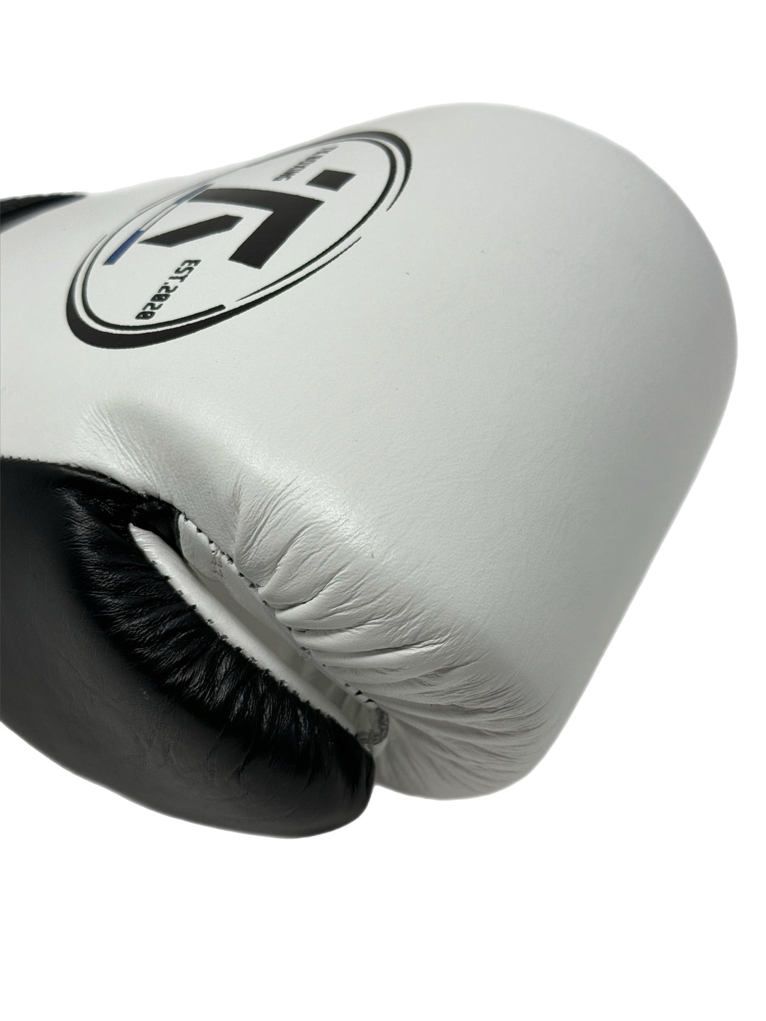 TK Pro fight gloves (Padding)