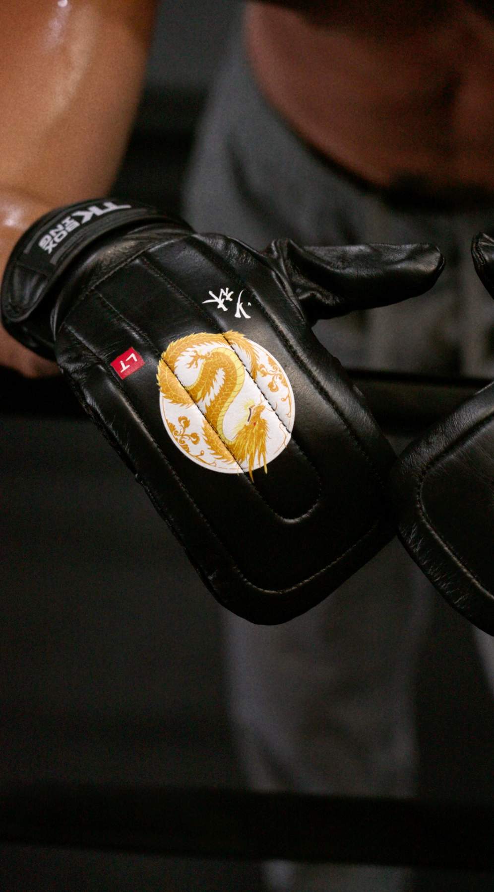 LEWIS TAN “GLADIATOR” BAG MITT EDITION