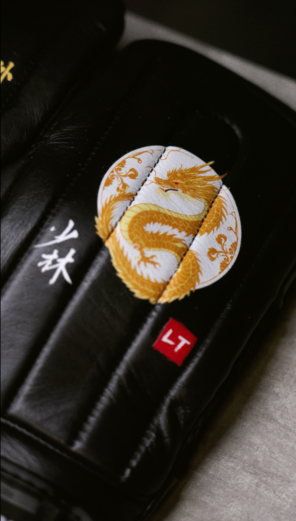 LEWIS TAN “GLADIATOR” BAG MITT EDITION