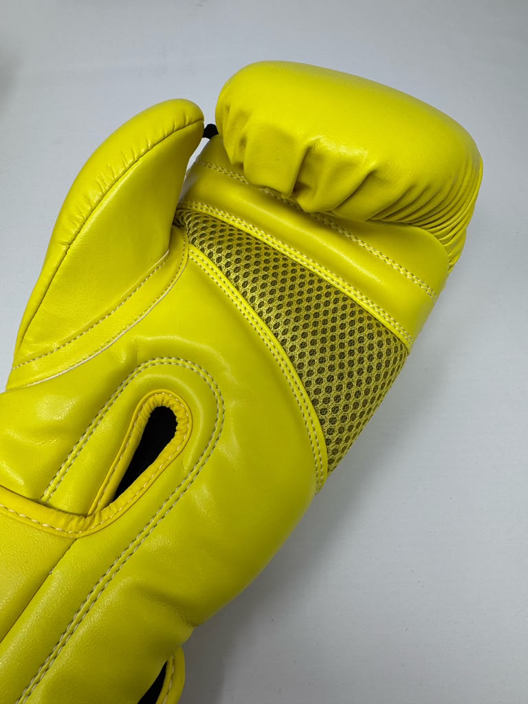 Leslie Marlon X TK Boxing Gear